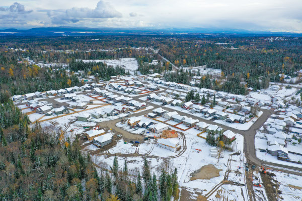 woodlands-aerial-view